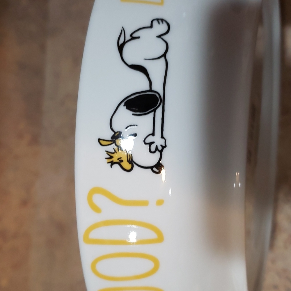 Snoopy Woodstock dinner bowl NWT - Picture 4 of 5